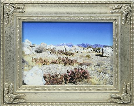 Desert Landscape Photo