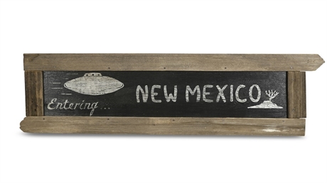 New Mexico Alien Sign