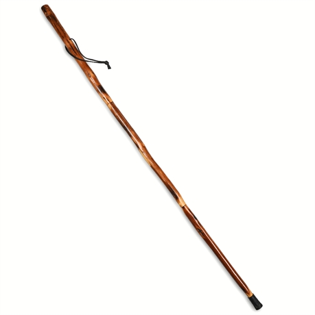 Take a Hike Walking Stick with Compass By Hike