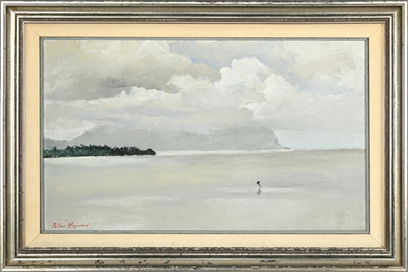 Peter Hayward  "Coconut Island From Kāneʻohe Bay"