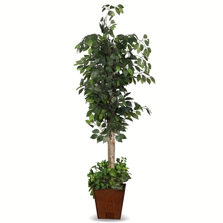 6' Faux Ficus Tree