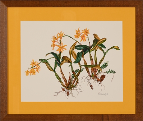 "Magnolia Editions" Signed Print by Carolyn A. Cohen