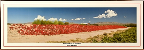 Vintage Mike Groves "A Hill of a Lot of Red Chile"