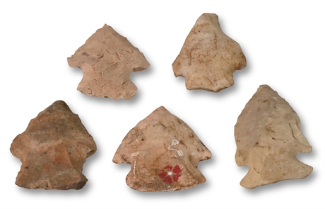 Authentic New Mexico Arrowhead Collection