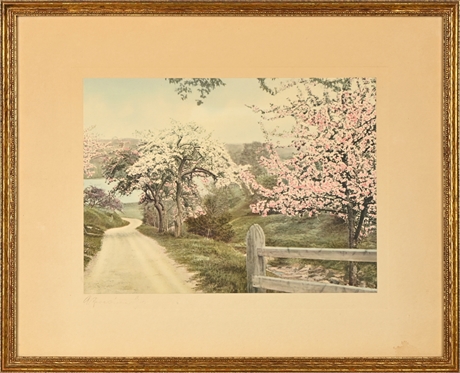 Antique Cherry Blossom Etching