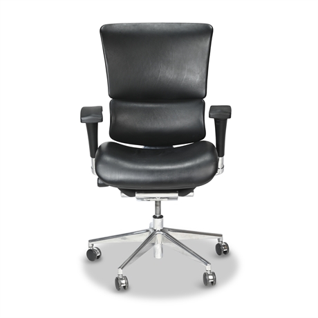 Office Chair by X-Chair