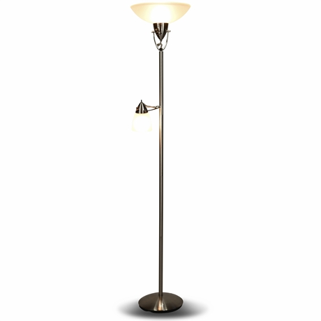 Sleek Metal Floor Lamp