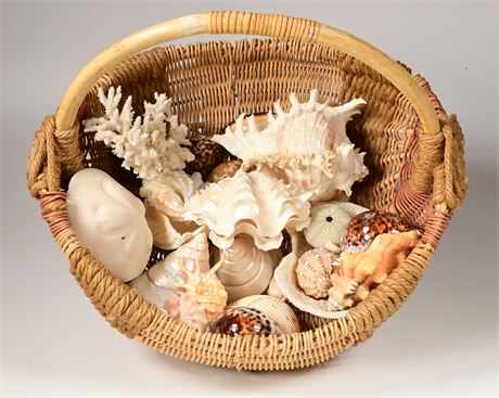 Basket full of Shells