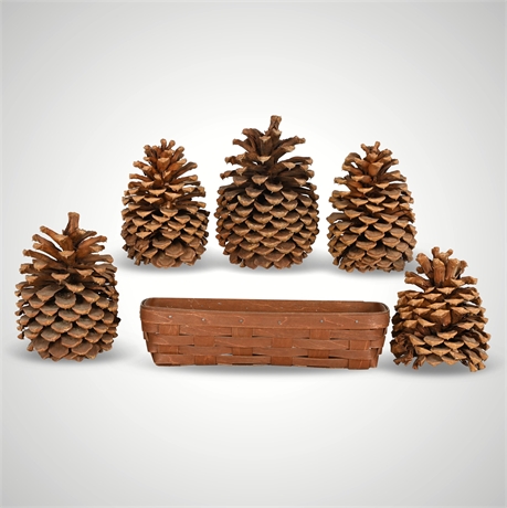 Longaberger Basket and Pinecones