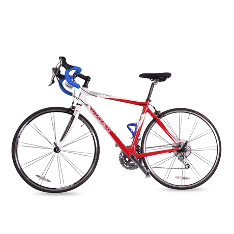 2008 Trek Pilot 5.0 Road Bike