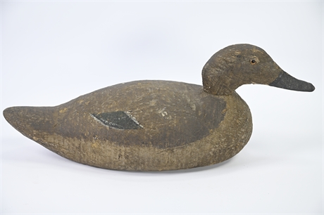 Antique Canvasback Decoy Duck