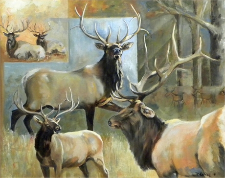 "Elk Country" by Mary Beagle