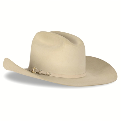 Resistol 20X Tarrant Silverbelly Cowboy Hat