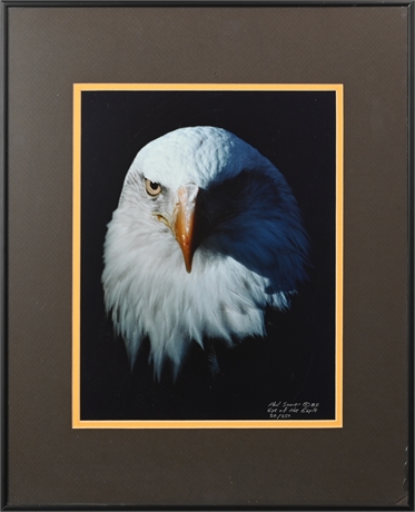 Phil Sonier 'Eye of the Eagle'