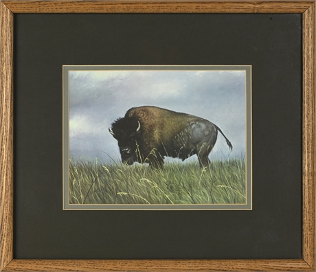 Limited Edition Buffalo Print