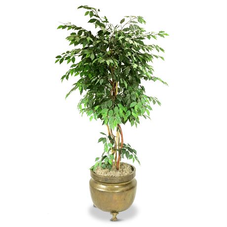 Faux Ficus in Antique Hammered Pot