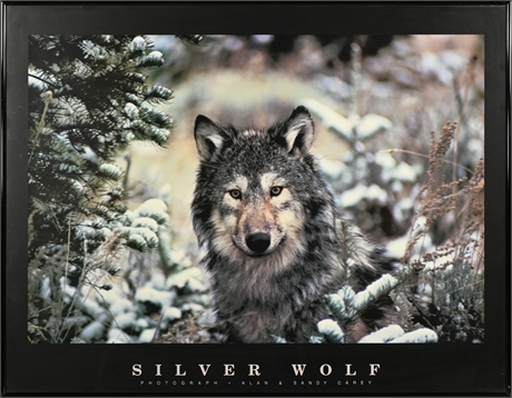 Framed Wolf Poster