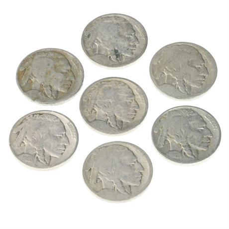 (7) Buffalo Nickels