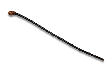 Lacquered Twig Cane