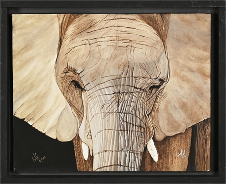 Wildlife Elephant by Al Borrego