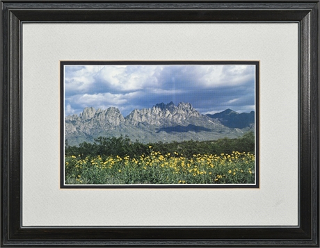 Organ Mountains & Poppy Bloom Color Photograph