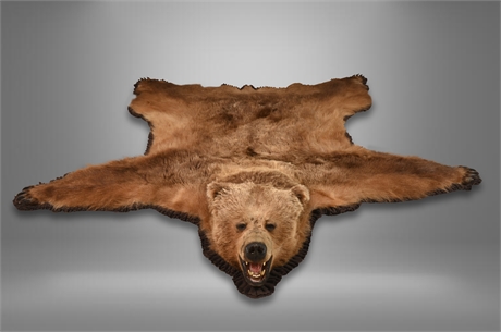 Full Body Alaskan Brown Bear Rug Mount