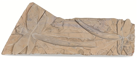 Carved Relief Stone Dragonfly Sculpture – Nature-Inspired Art