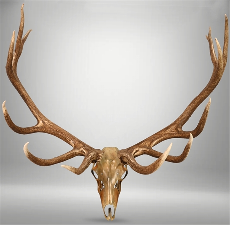 6x7 Bronze Bull Elk by Bill Ernst