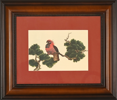 Giuseppe Castiglione Asian-Theme Avian Print