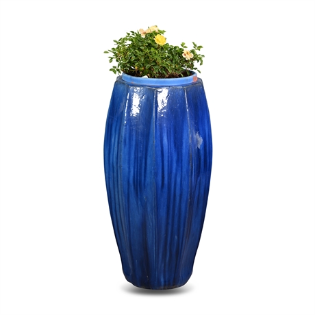 Cobalt Blue Vase with Miniature Rose Bush
