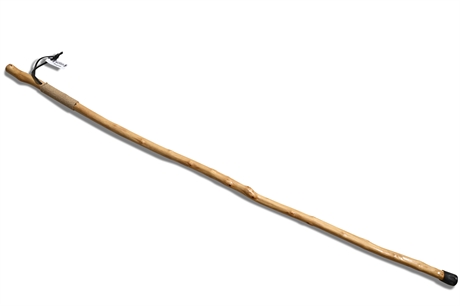 Angderson Custom Walking Stick