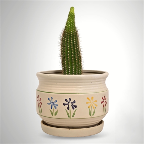 Hand-Painted Floral Stoneware Cachepot Planter with Saucer & Live Cactus