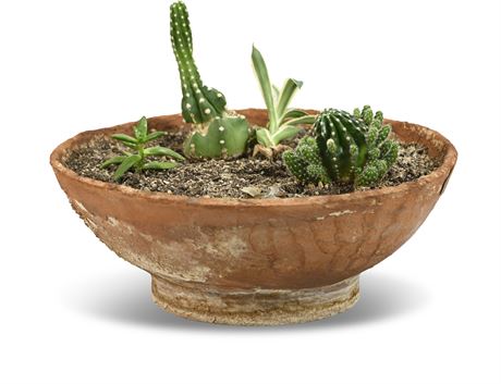 Terracotta Bowl Planter