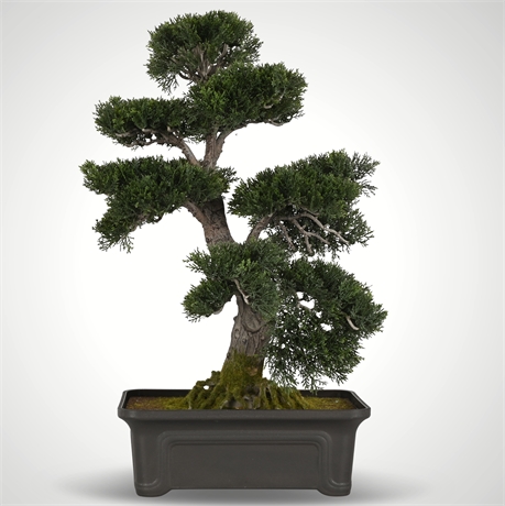 24" Faux Bonsai Tree