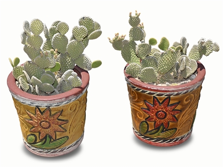 Hand Painted Terracotta Planters