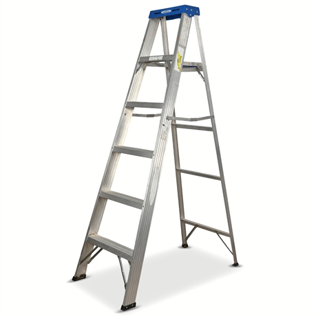 6' Werner Aluminum Ladder