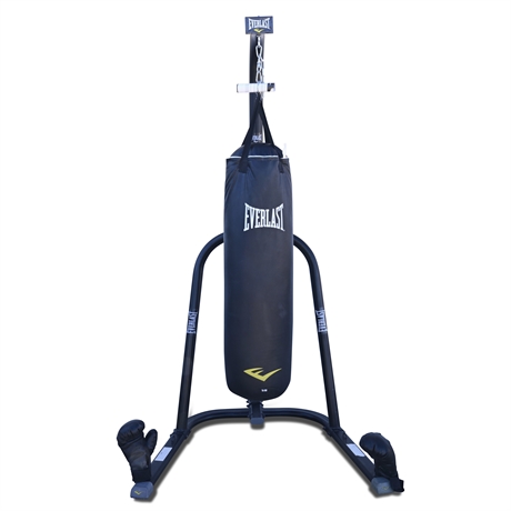 Everlast Punching Bag and Steel Stand
