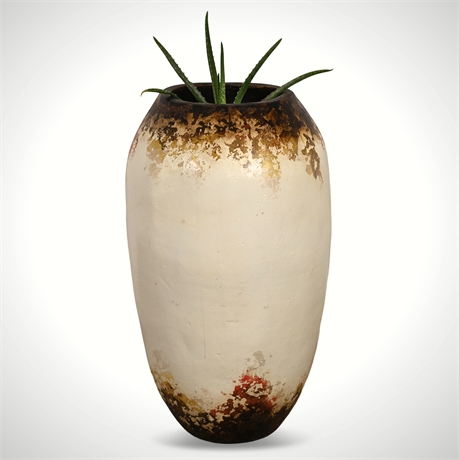 Vibrant Aloe Vera in Tall Rustic Resin Vase