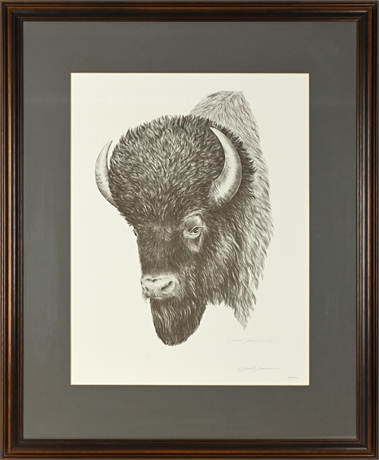 Gene Galasso NRA Buffalo Limited Edition Art