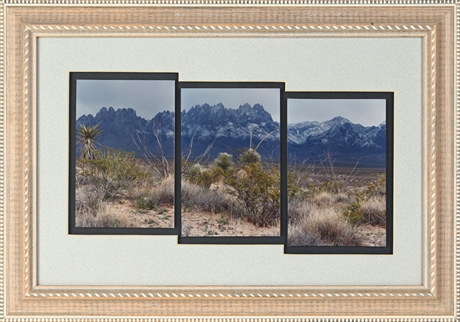 Organ Mountain Triptych Winter Scene