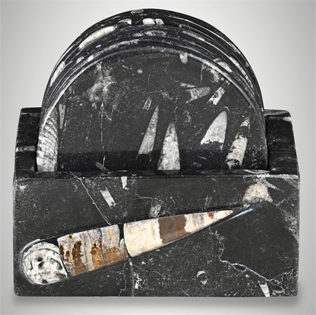 Orthoceras Fossil Marble Coaster Set with Holder