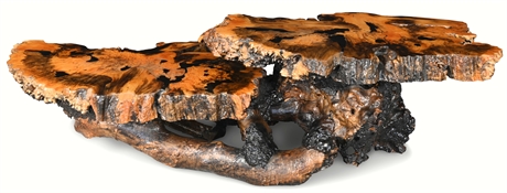 California Buckeye Burl Cocktail Table