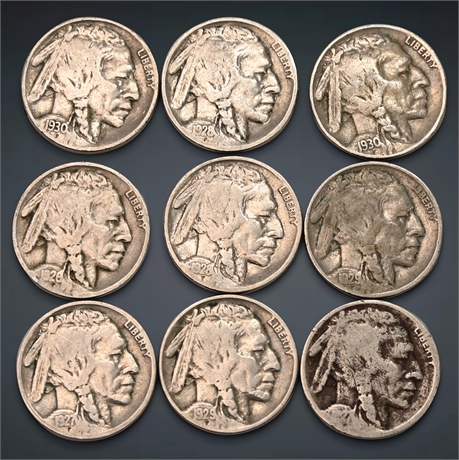 Late 1920s to Early 1930s Buffalo Nickel Collection - 9 Coins
