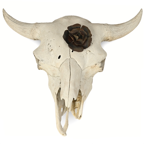 Buffalo Skull with Forged Iron Rose