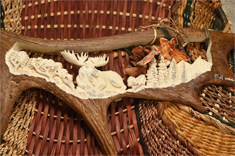 Alaskan Moose Antler Carved by Tony Russ