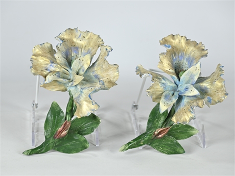 Pair Capodimonte Iris Flowers