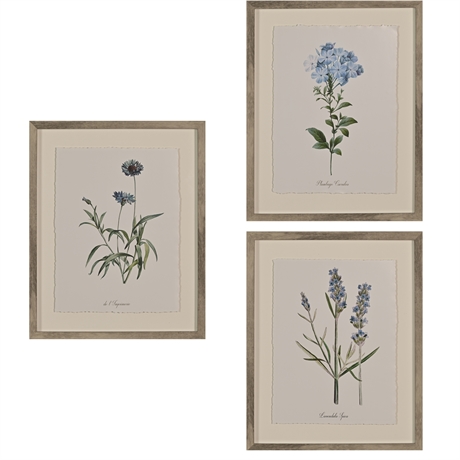 Framed Floral Prints