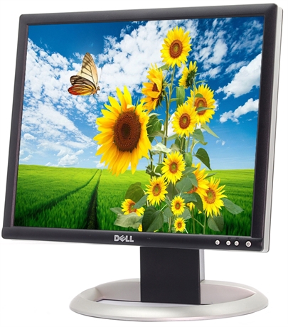 Dell UltraSharp 19" LCD Monitor