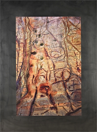 Paul Lawrence Abstract Photograph — Mounted on Steel Panel, 2013 Exhibit
