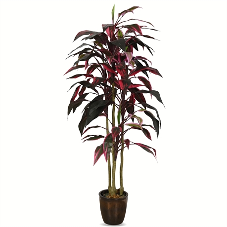 5' Faux Dracena Rumba